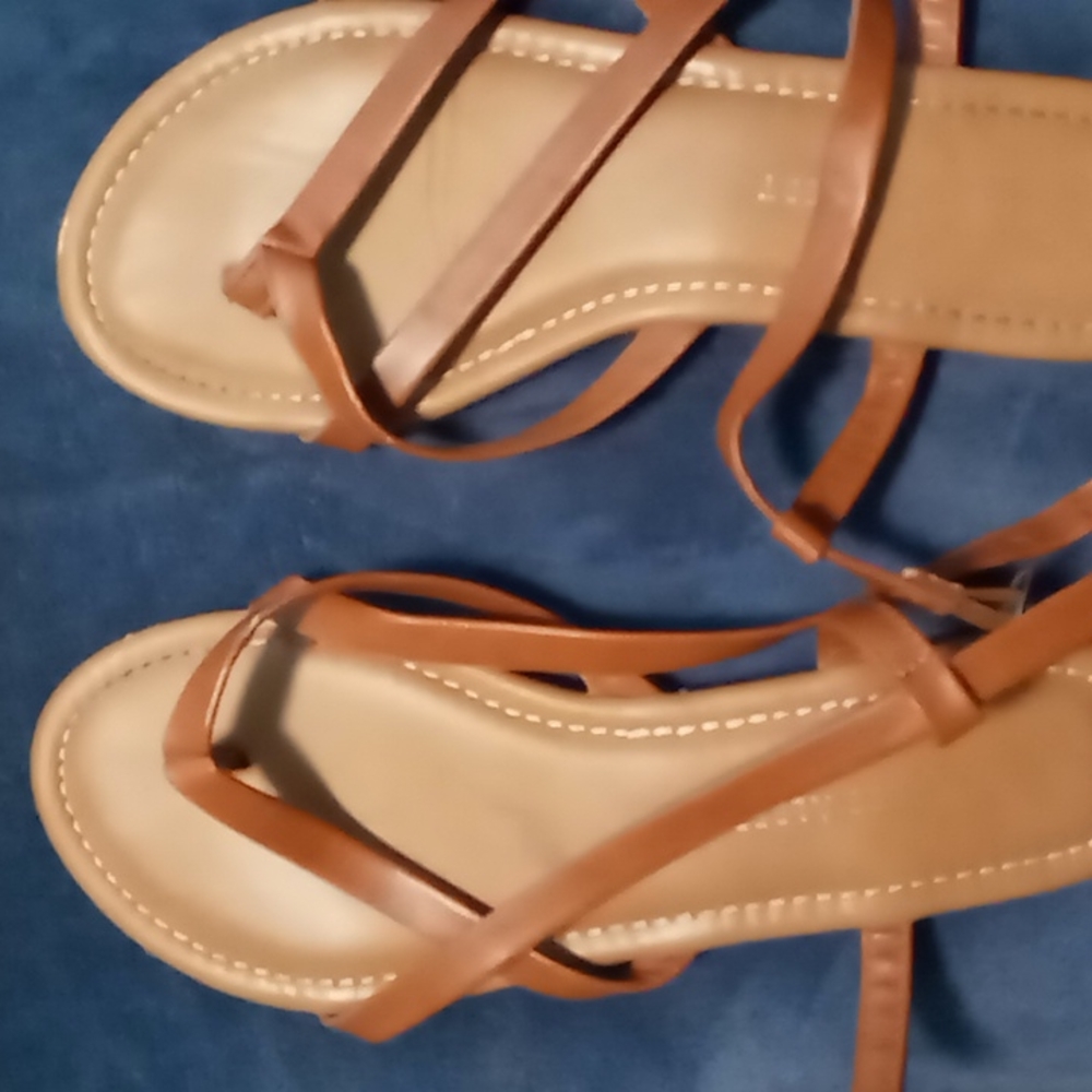 Sandals, Charles Albert